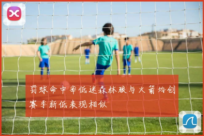 罚球命中率低迷森林狼与火箭均创赛季新低表现相似