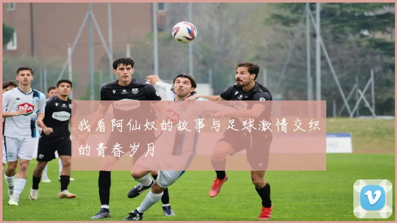 我看阿仙奴的故事与足球激情交织的青春岁月