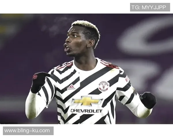 比尔西蒙斯看好黄蜂前景期待三球表现提升赢得球迷信任